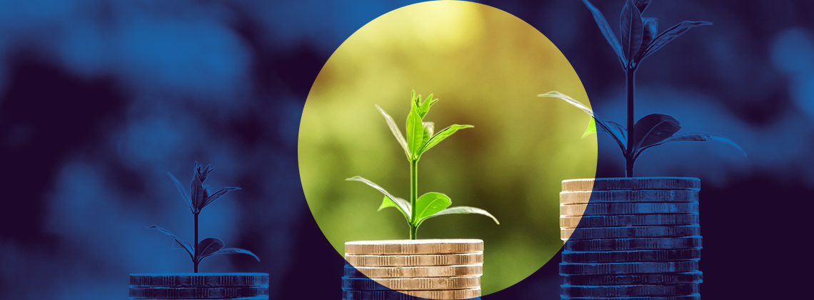 ESG incentives